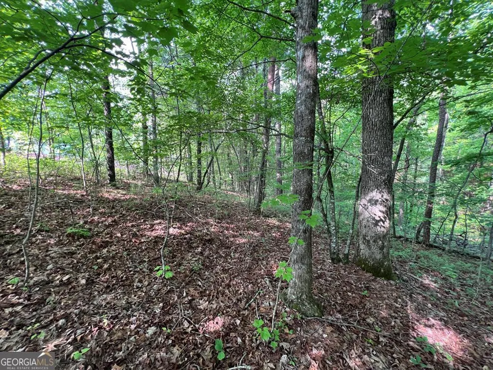 9 + ACRE Leonard LN Murphy, NC 28906