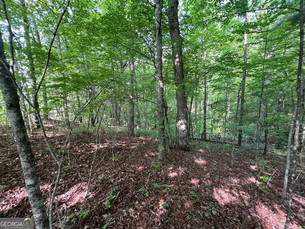 9 + ACRE Leonard LN Murphy, NC 28906
