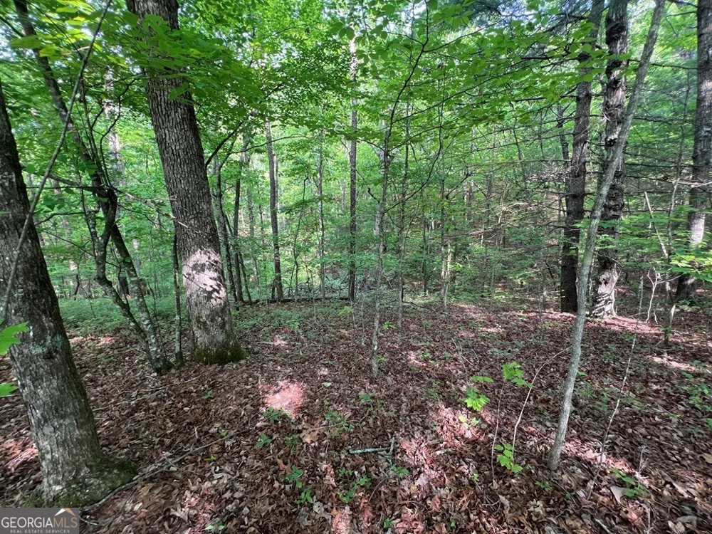 9 + ACRE Leonard LN Murphy, NC 28906