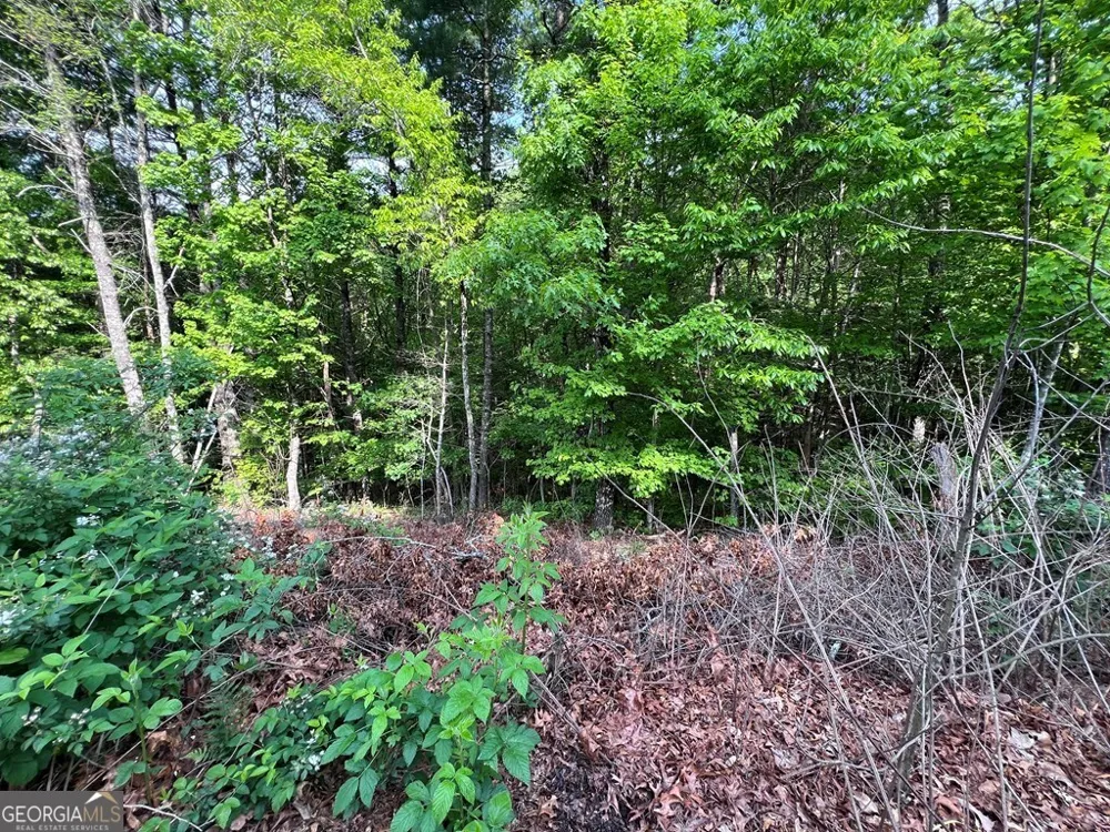9 + ACRE Leonard LN Murphy, NC 28906