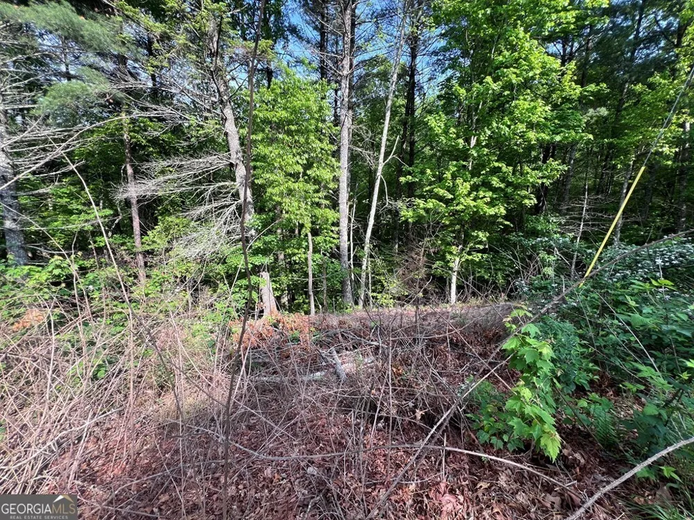 9 + ACRE Leonard LN Murphy, NC 28906