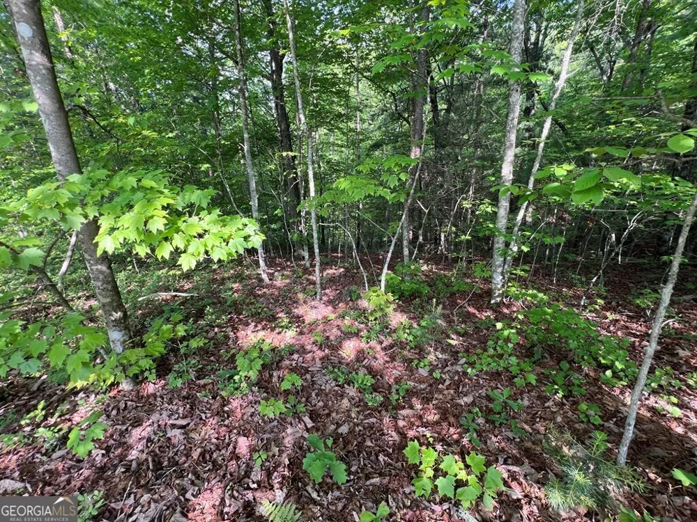 9 + ACRE Leonard LN Murphy, NC 28906