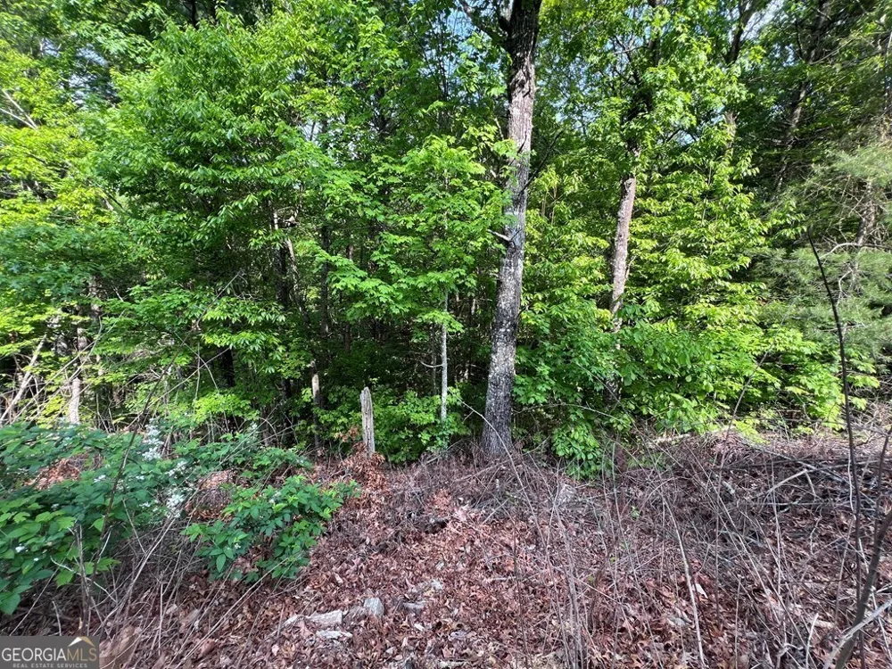 9 + ACRE Leonard LN Murphy, NC 28906
