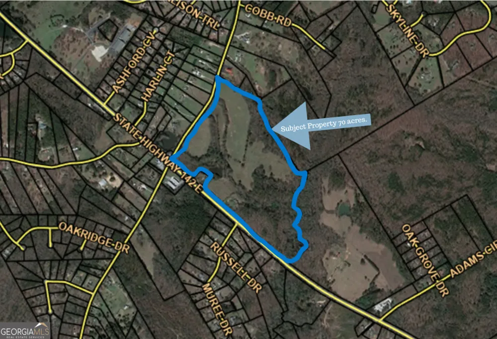 1167 Highway 142 Covington, GA 30014
