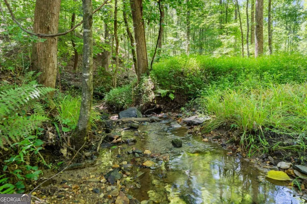 189 Peace Valley RD Dahlonega, GA 30533