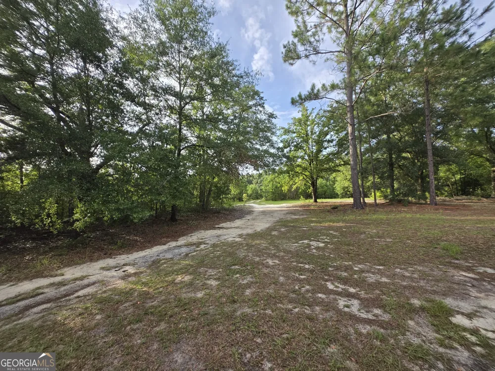 56 April LN Chauncey, GA 31011