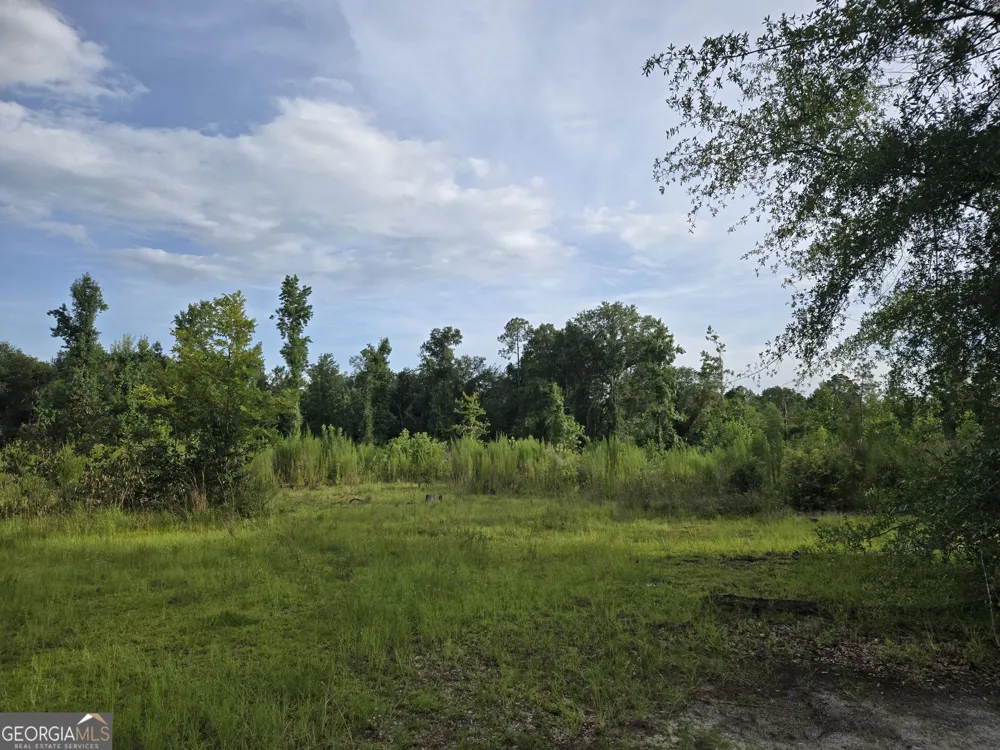 56 April LN Chauncey, GA 31011