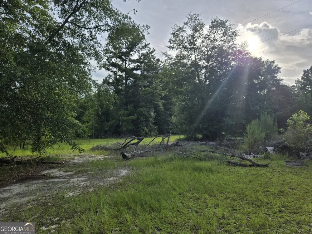 56 April LN Chauncey, GA 31011