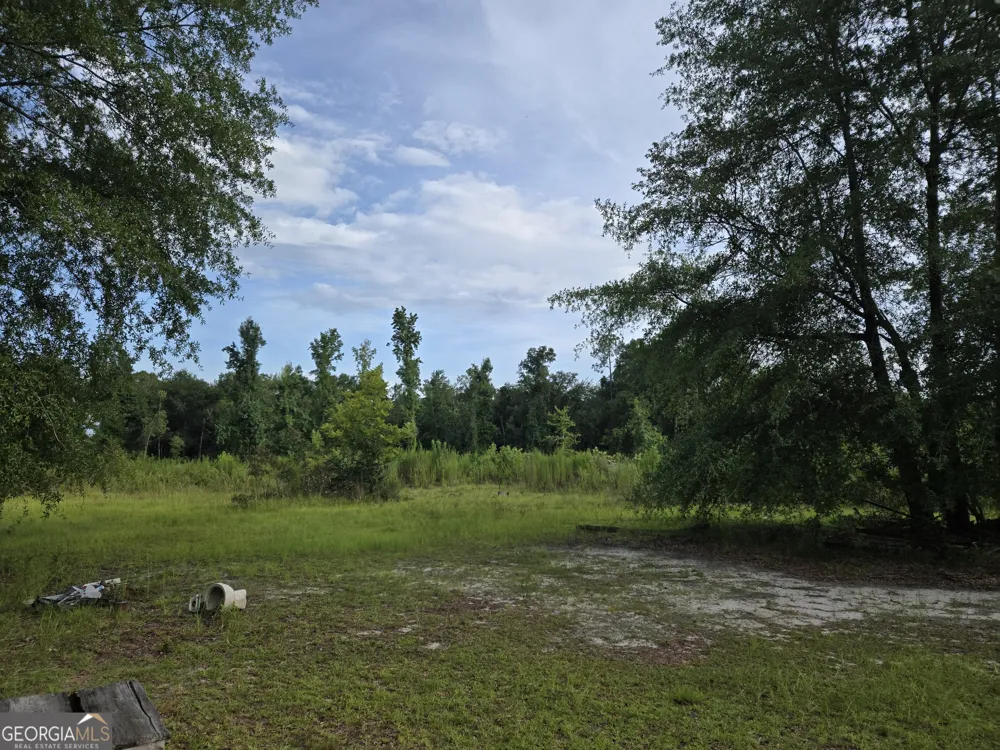 56 April LN Chauncey, GA 31011