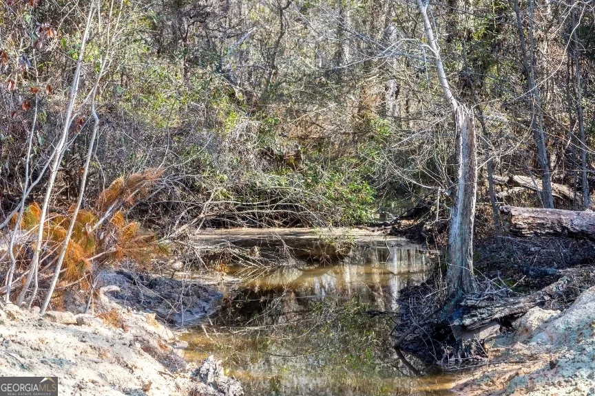 0 Crooked RD Millen, GA 30442