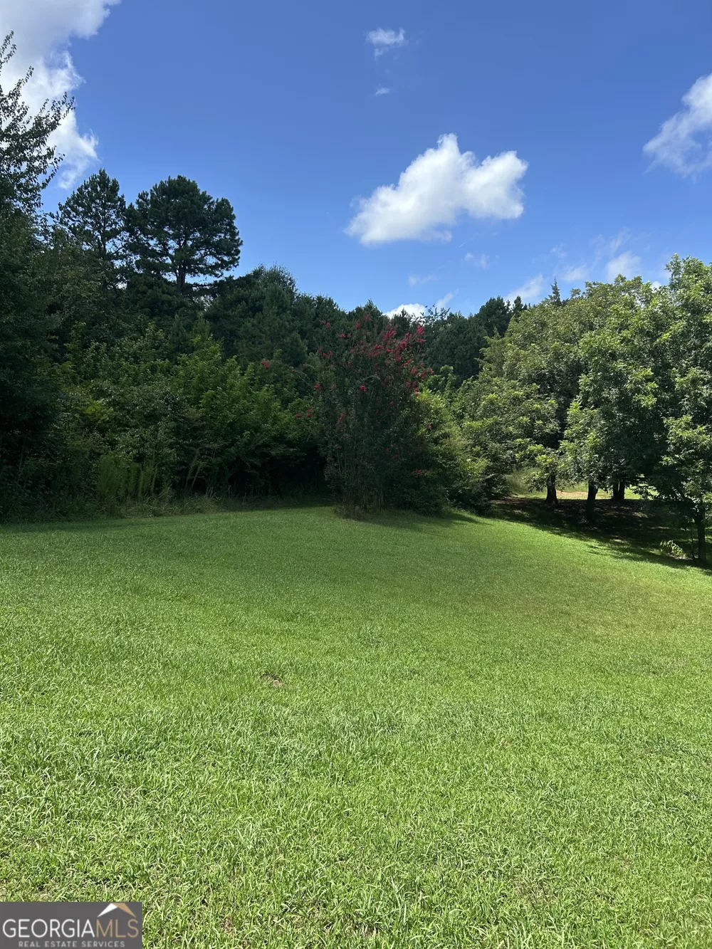 176 Bud Freeman RD Royston, GA 30662