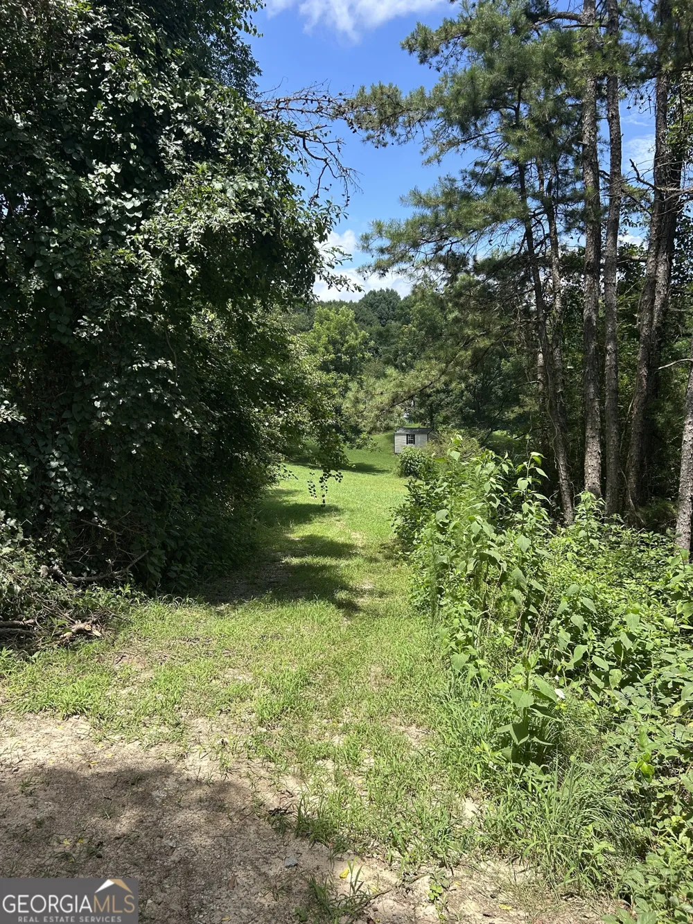 176 Bud Freeman RD Royston, GA 30662