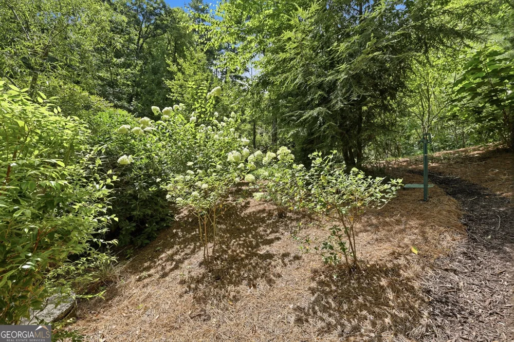 383 Bull Frog LN Clayton, GA 30525