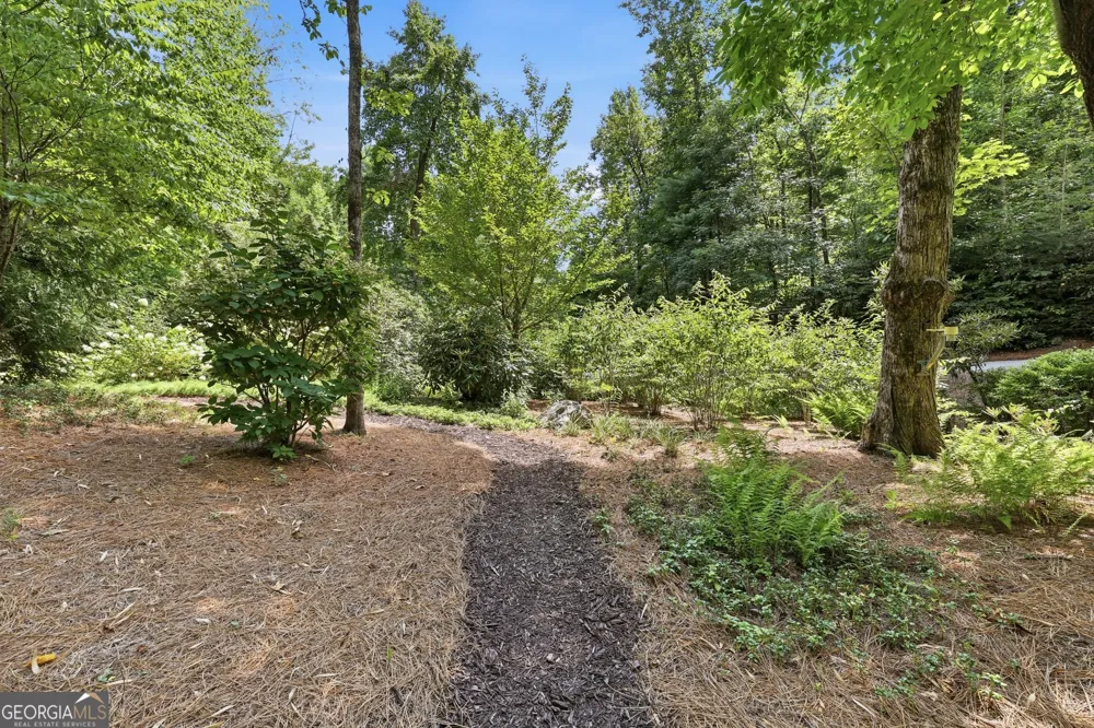 383 Bull Frog LN Clayton, GA 30525