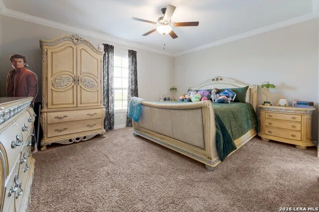 196 TEXAS BND Castroville, TX 78009
