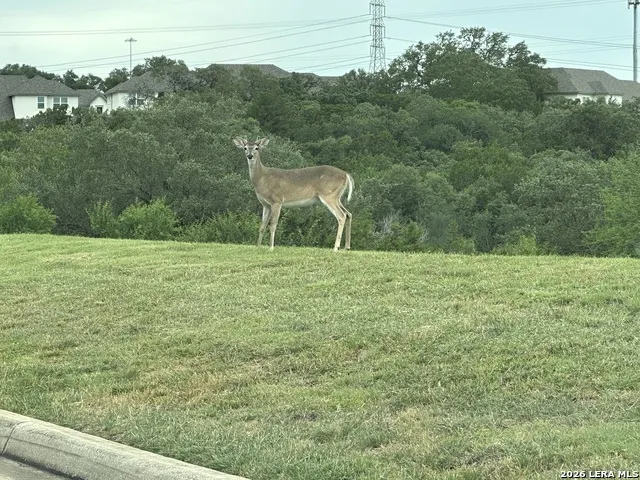 3950 RIVER FLS San Antonio, TX 78259