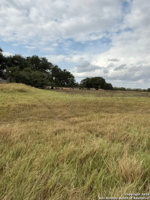 4689 County Road 302 Runge, TX 78151