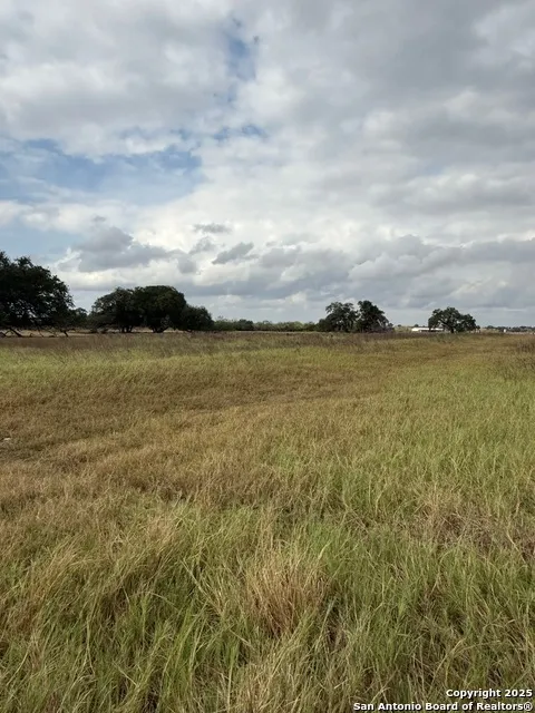 4689 County Road 302 Runge, TX 78151