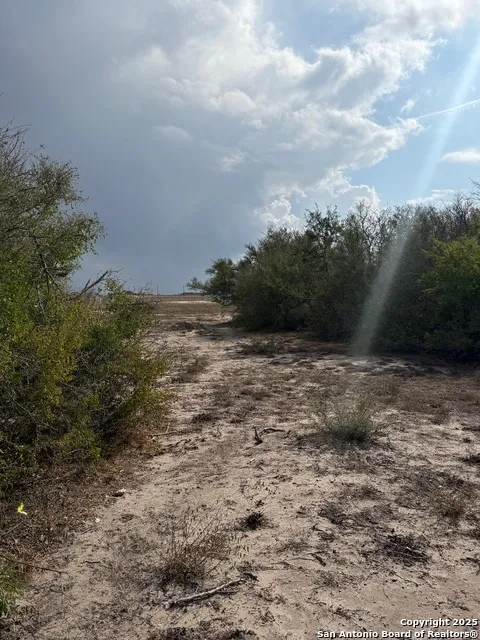 4689 County Road 302 Runge, TX 78151