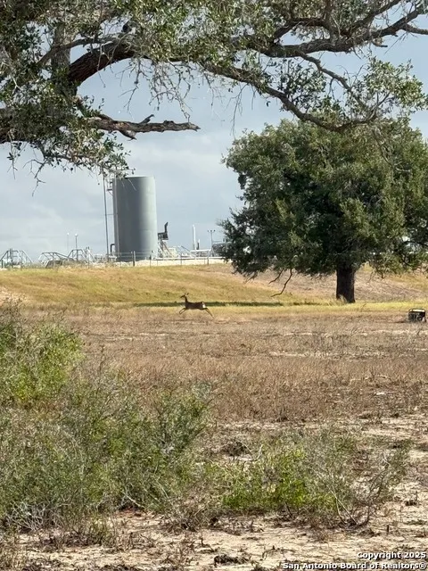 4689 County Road 302 Runge, TX 78151
