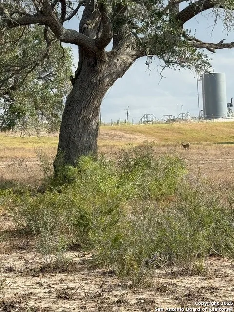 4689 County Road 302 Runge, TX 78151