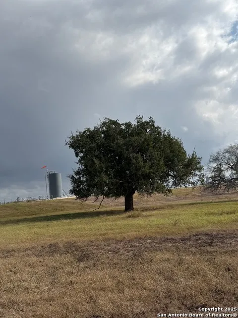 4689 County Road 302 Runge, TX 78151