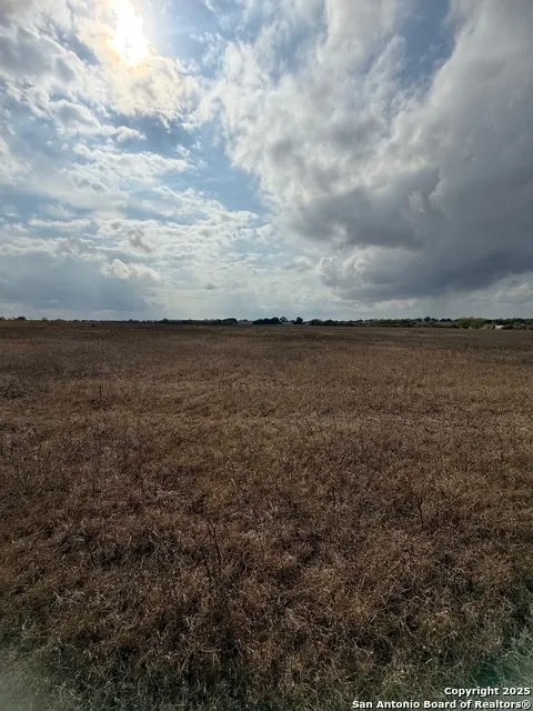 4689 County Road 302 Runge, TX 78151
