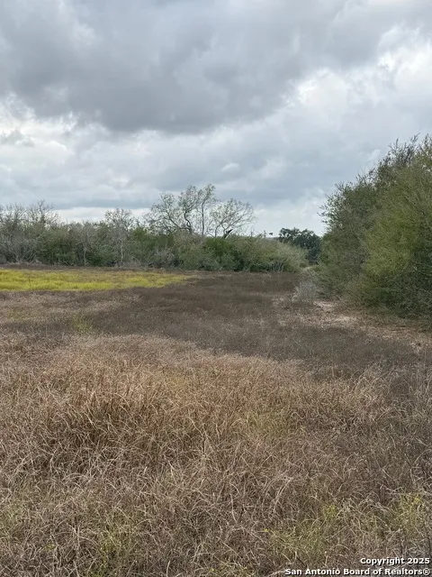 4689 County Road 302 Runge, TX 78151