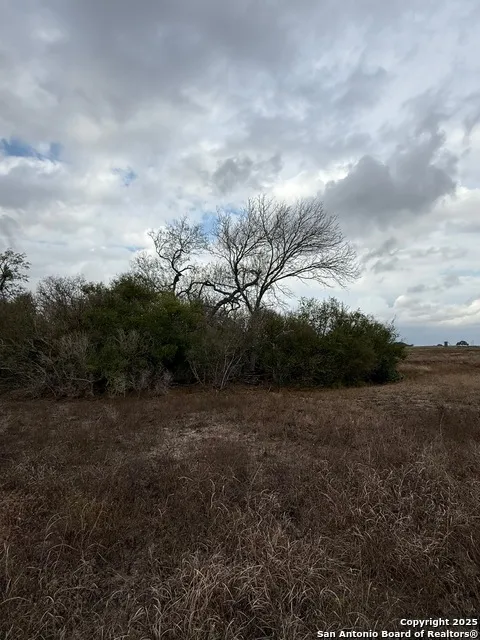 4689 County Road 302 Runge, TX 78151