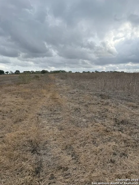 4689 County Road 302 Runge, TX 78151