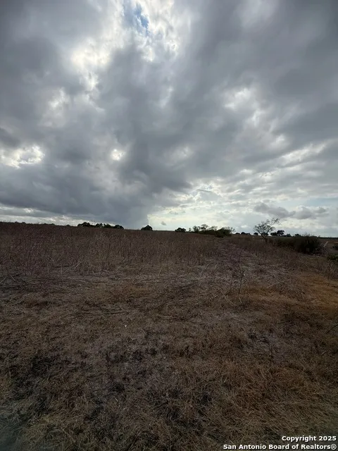 4689 County Road 302 Runge, TX 78151