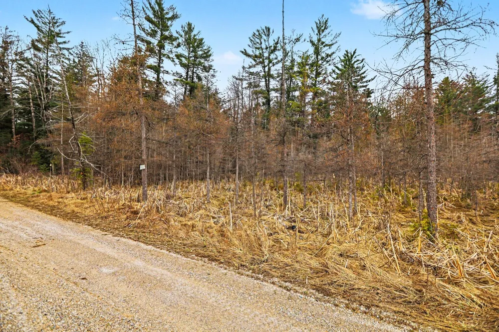 E 48 1/2 ROAD Cadillac, MI 49601