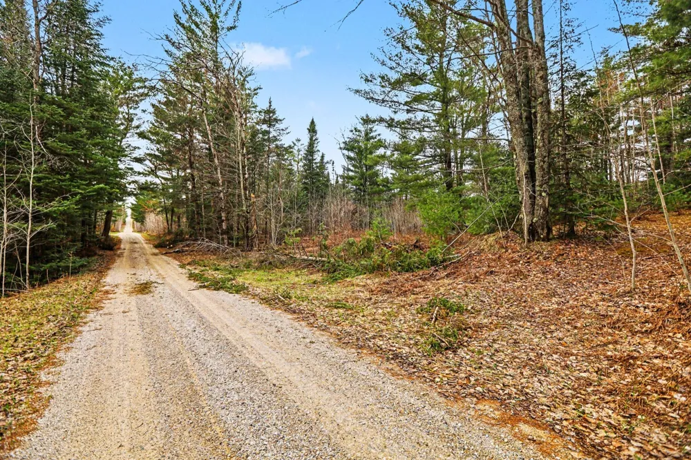 E 48 1/2 ROAD Cadillac, MI 49601