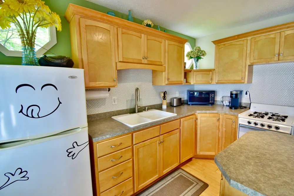 10811 55th Street SE Clear Lake, MN 55319