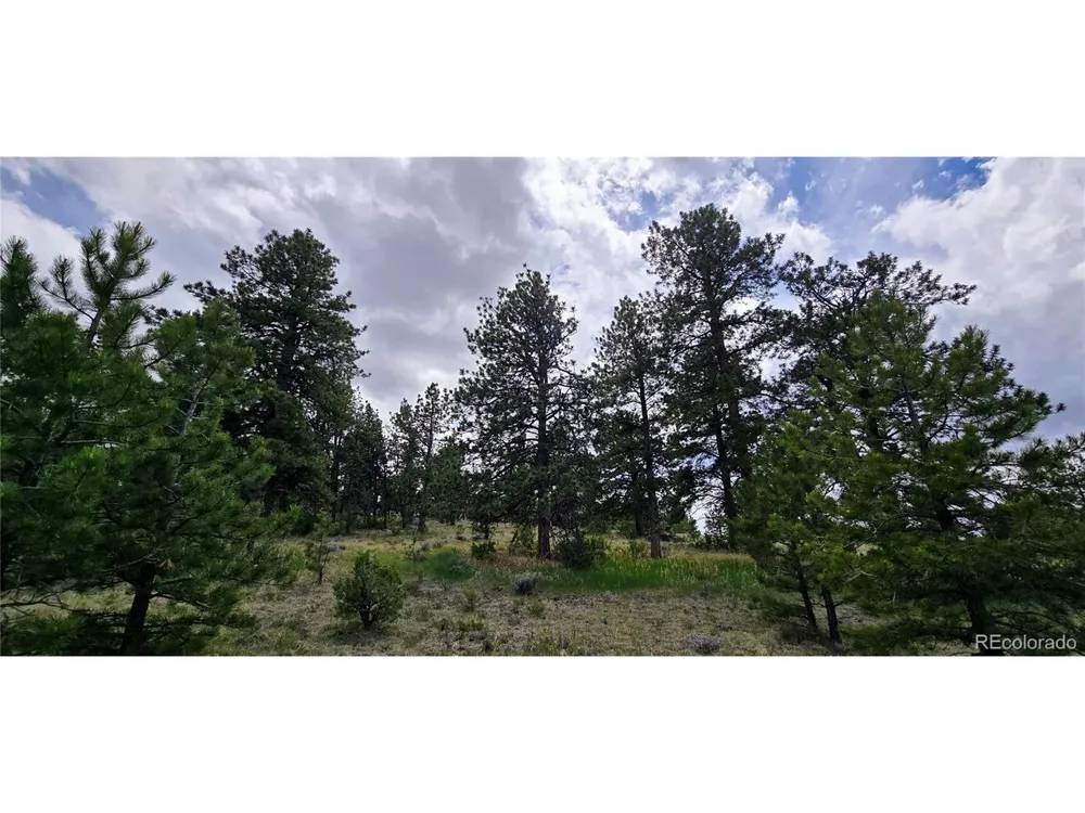 Crystal Falls Westcliffe, CO 81252