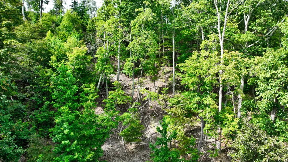 57 Ridge Top Rd Stewart, TN 37175
