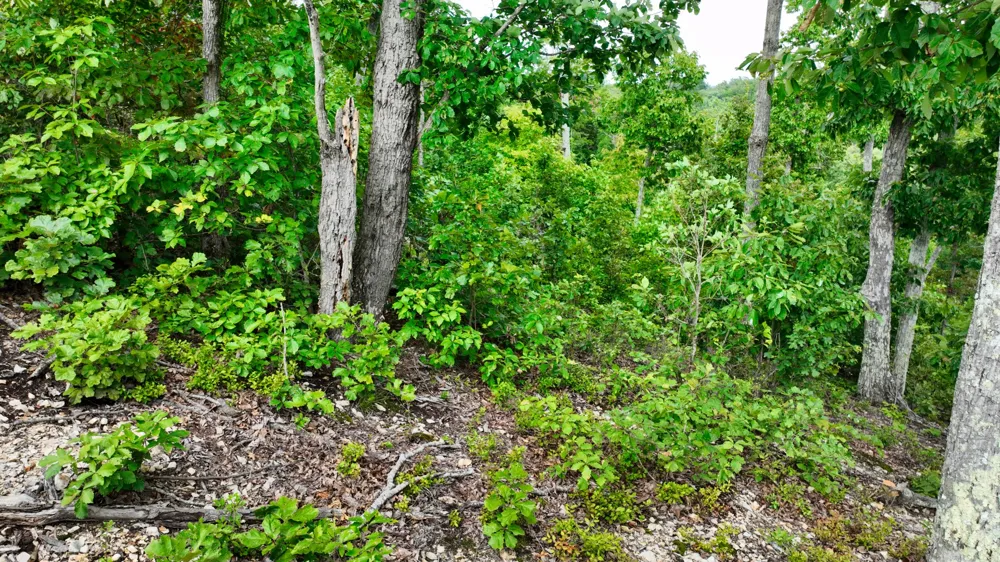 57 Ridge Top Rd Stewart, TN 37175