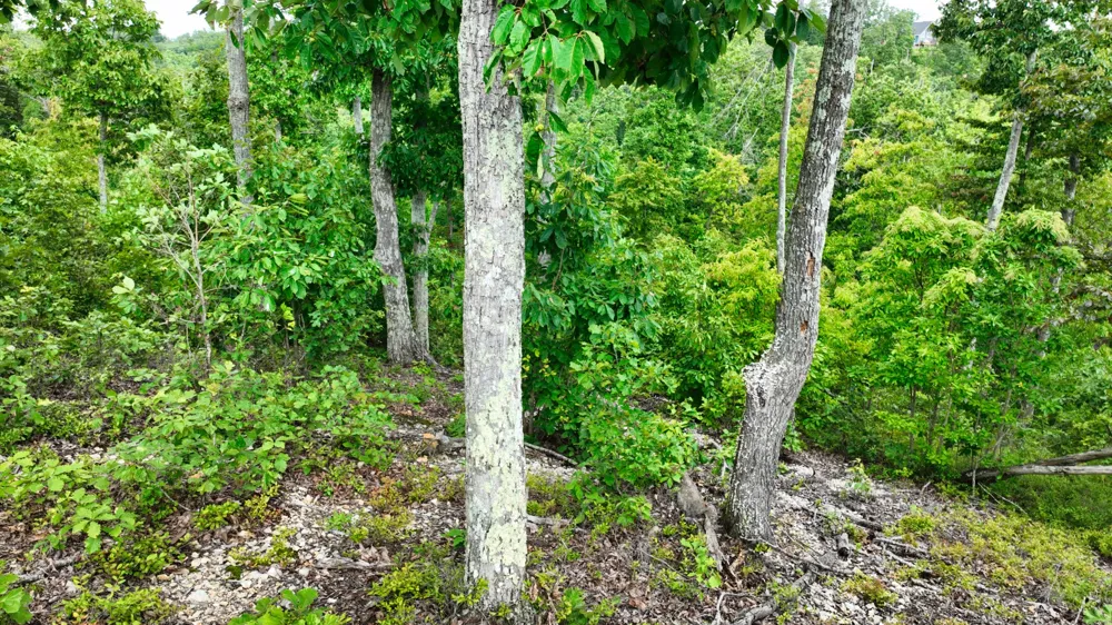 57 Ridge Top Rd Stewart, TN 37175