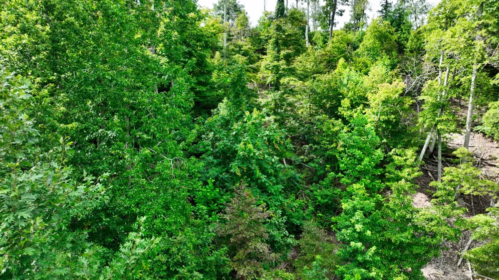 57 Ridge Top Rd Stewart, TN 37175