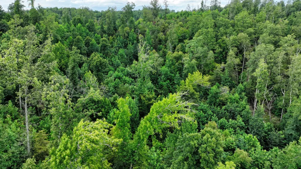 57 Ridge Top Rd Stewart, TN 37175