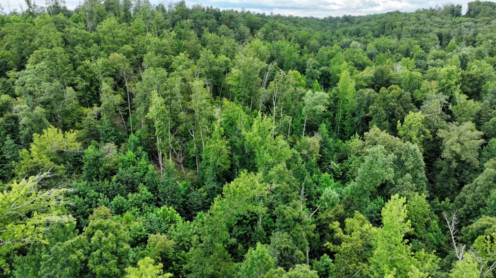 57 Ridge Top Rd Stewart, TN 37175