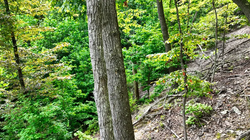 57 Ridge Top Rd Stewart, TN 37175