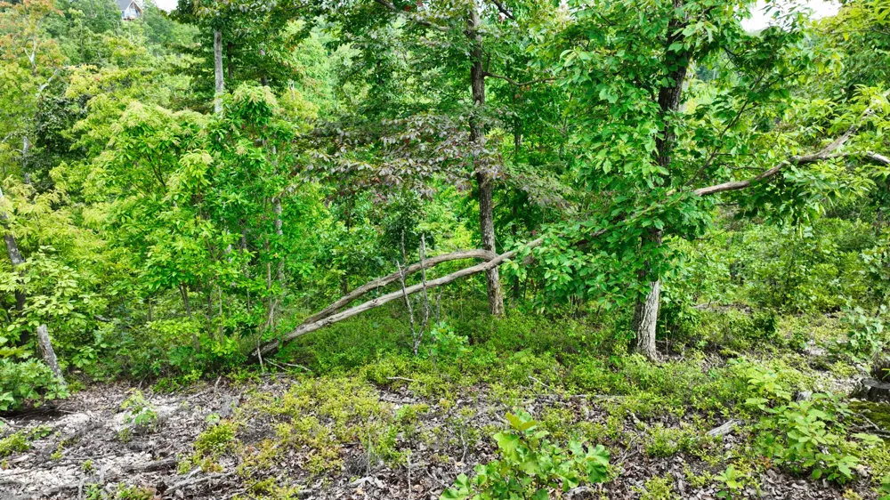 57 Ridge Top Rd Stewart, TN 37175