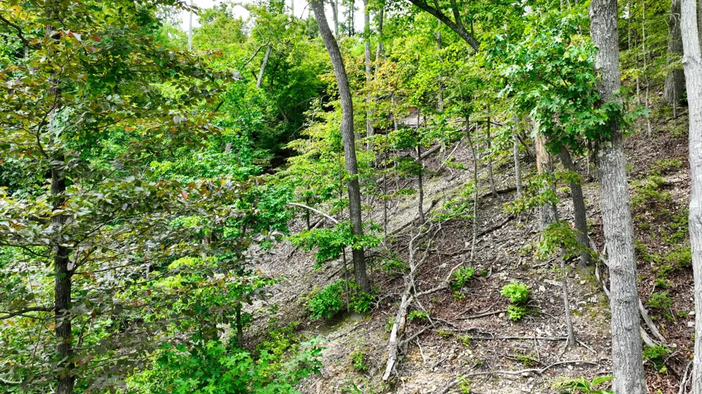 58 Ridge Top Rd Stewart, TN 37175