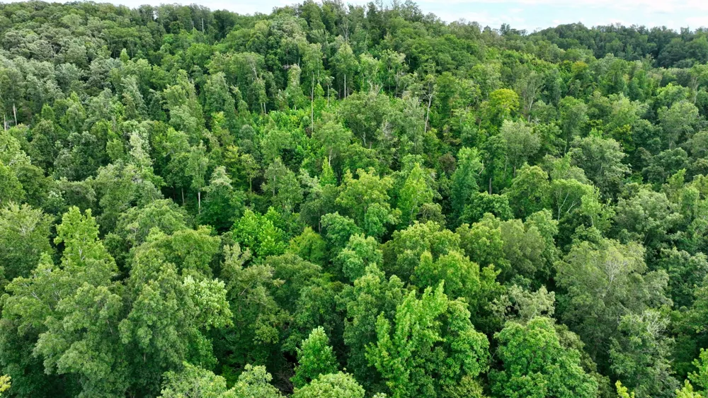 58 Ridge Top Rd Stewart, TN 37175