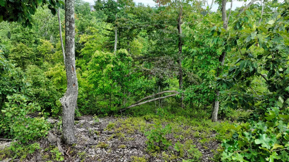 58 Ridge Top Rd Stewart, TN 37175