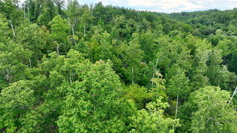 58 Ridge Top Rd Stewart, TN 37175