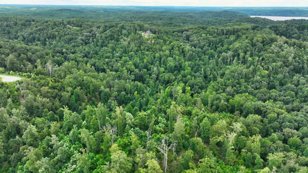 58 Ridge Top Rd Stewart, TN 37175