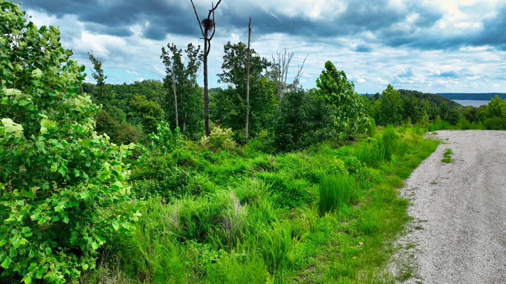 58 Ridge Top Rd Stewart, TN 37175