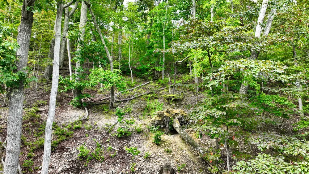 58 Ridge Top Rd Stewart, TN 37175